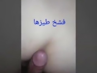 billal31