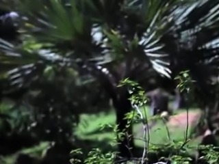 Bodacious bombshell pumped full of hard cock POV style