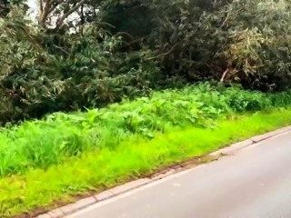 Brunette hardcore blowjob