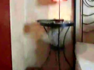 Submissive babe restrained and assfucked
