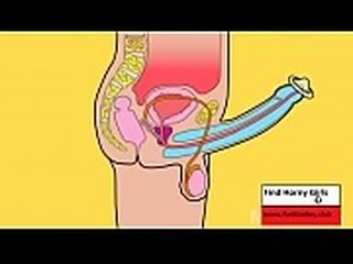 How to make love to a woman